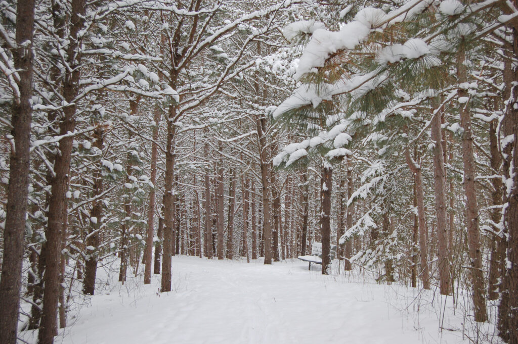 Little Cataraqui Creek Conservation Area