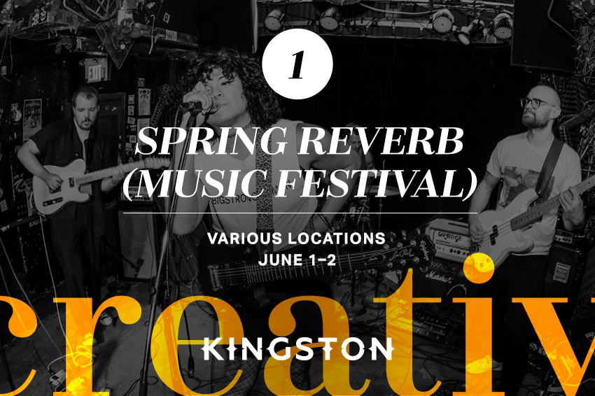 1. Spring Reverb (music festival)