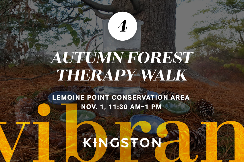 4. Autumn forest therapy walk