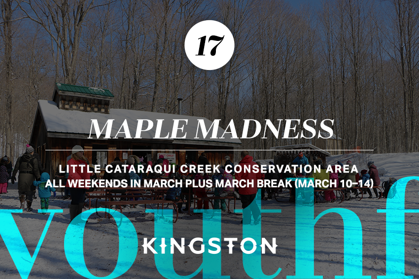 17. Maple Madness