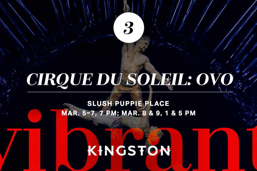 3. Cirque du Soleil: OVO