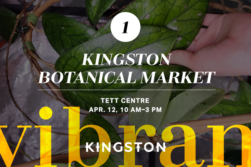 1. Kingston Botanical Market