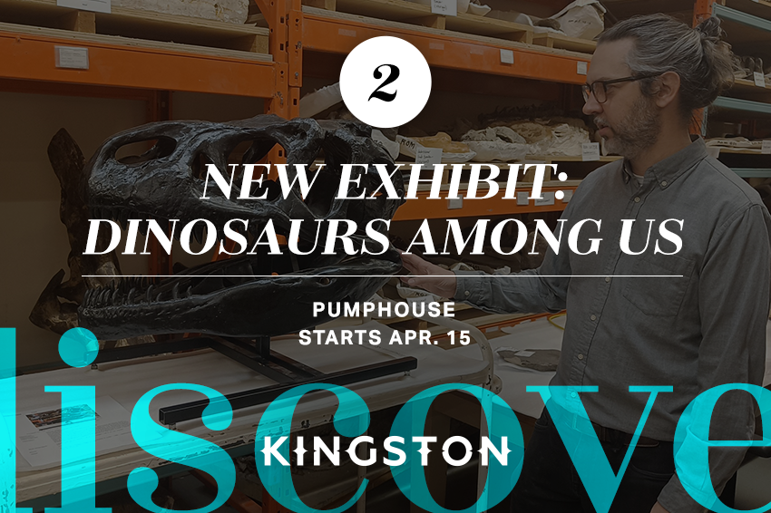 2. New exhibit: Dinosaurs Among Us