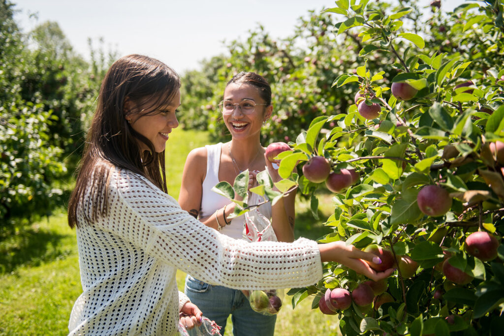 People picking apples