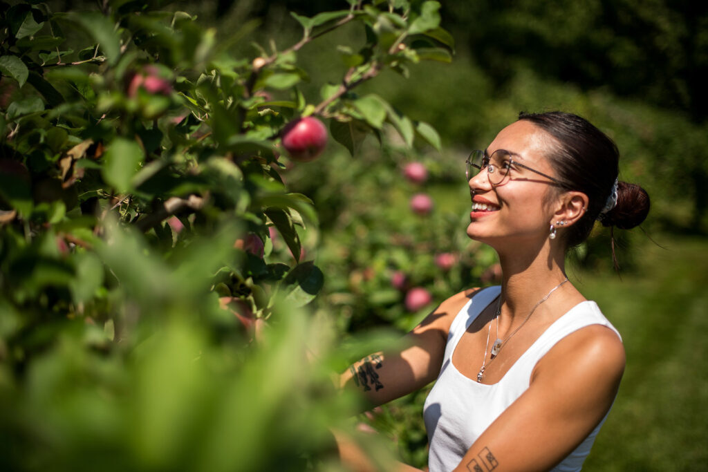 A person looking into an apple tree