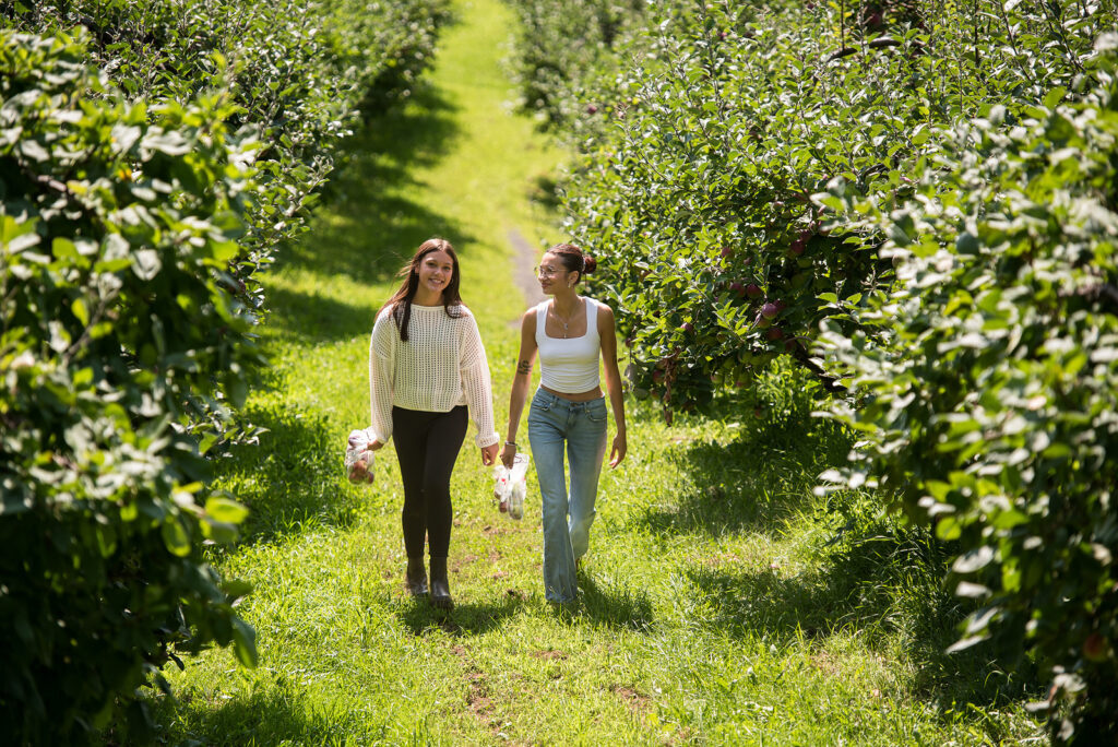 People walking down the apple orchard isle