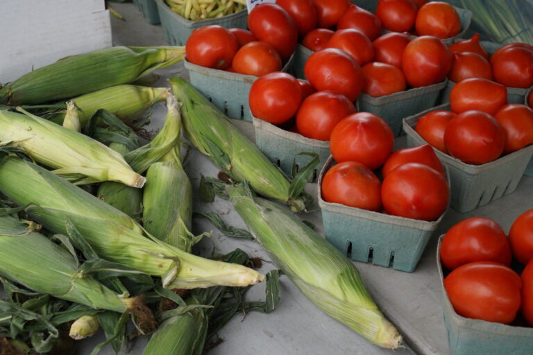 seasonal fresh corn and large ripe tomatoes await shoppers at the Baycrest Farm booth