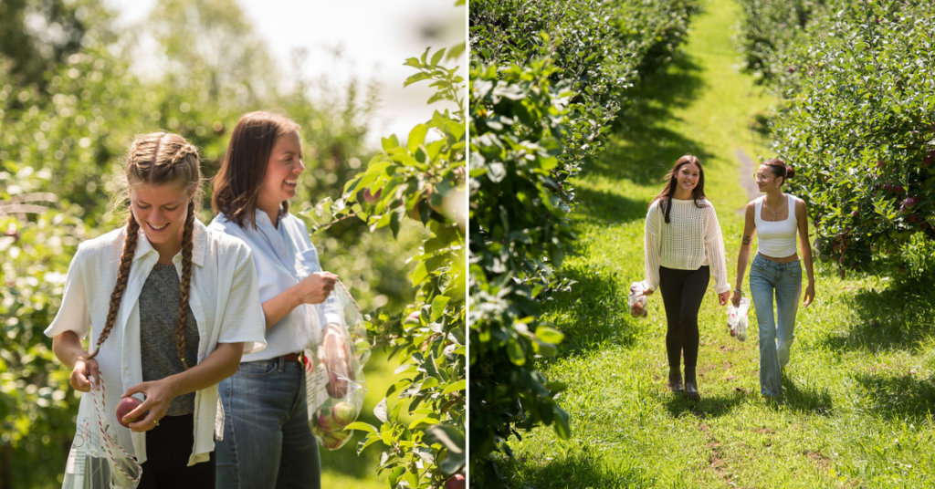 Waddel Apples