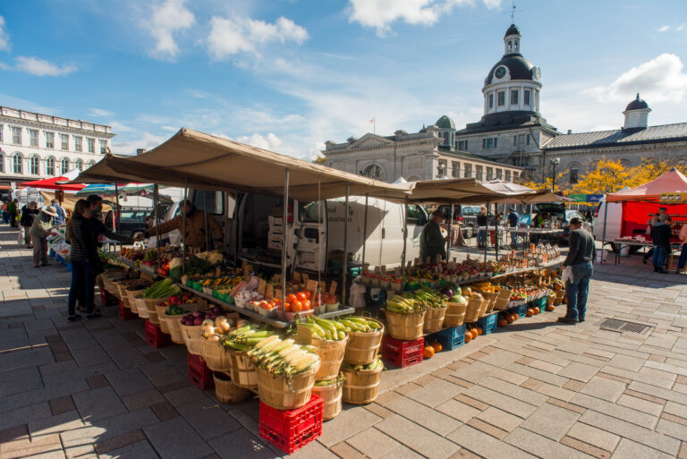 a sweeping shot of many booths at the public market with city hall standing tall in the background