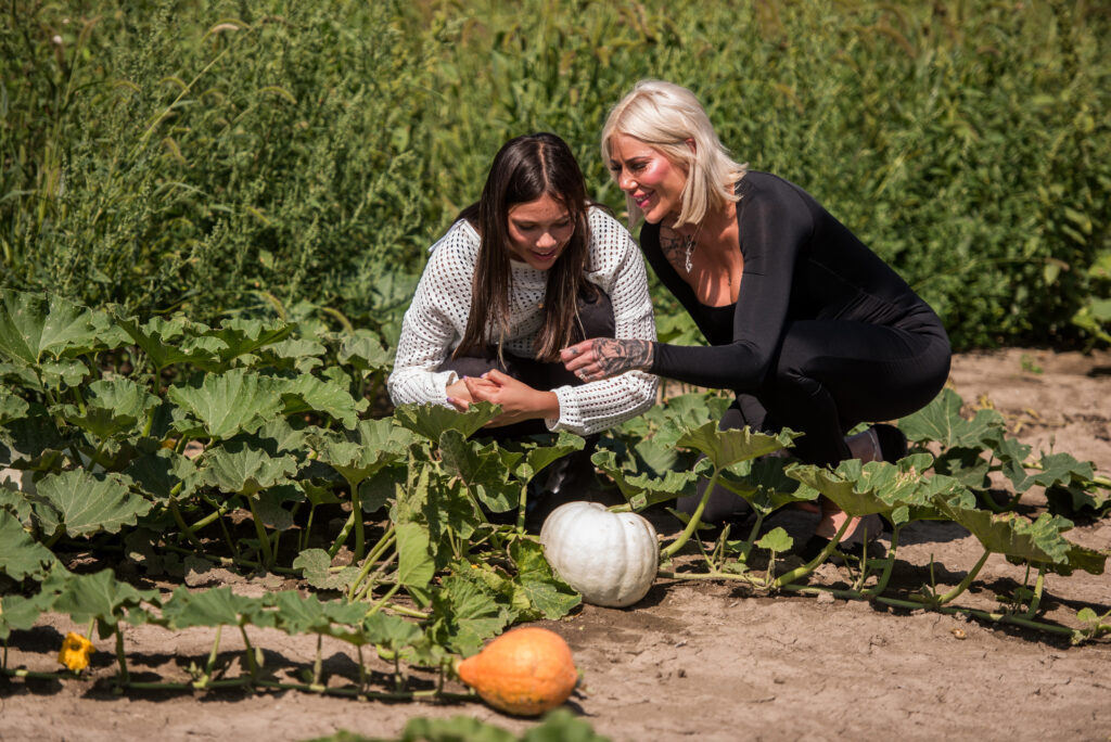 Pumpkin picking at Fruition Berry Farm