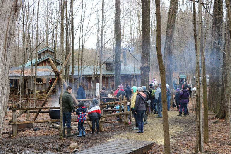 People at Maple Madness